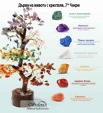 Tree of Life with Crystals for the 7 Chakras