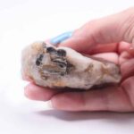 Muscovite with Quartz and Pyrite from the Momchilgrad Area, Bulgaria - Image 4