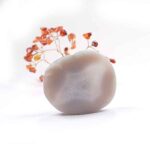 The Tree of Motivation and Inner Fire – Carnelian - Image 5